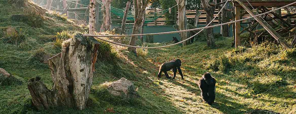 tourist attractions in jersey