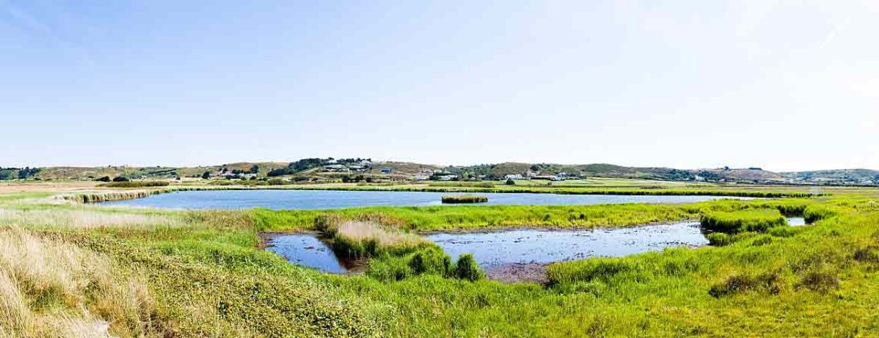 nature-in-jersey