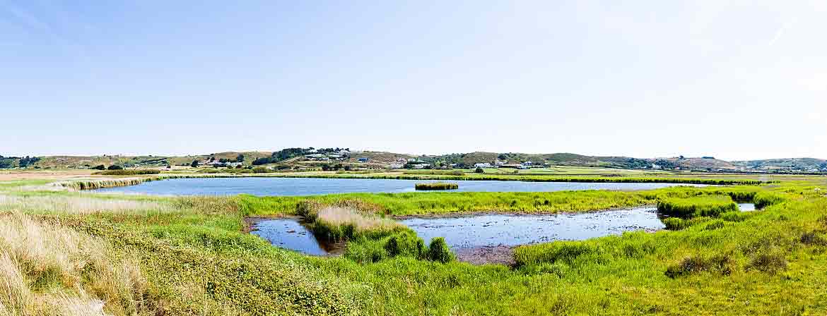 nature-in-jersey