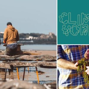 climavore-news