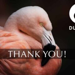 durrell-fundraising-2019