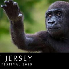 eat-jersey-sponsor-press-release