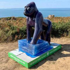adopting a gorilla sculpture