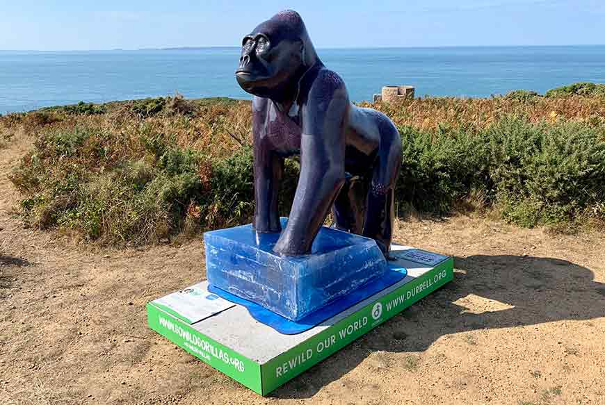 adopting a gorilla sculpture