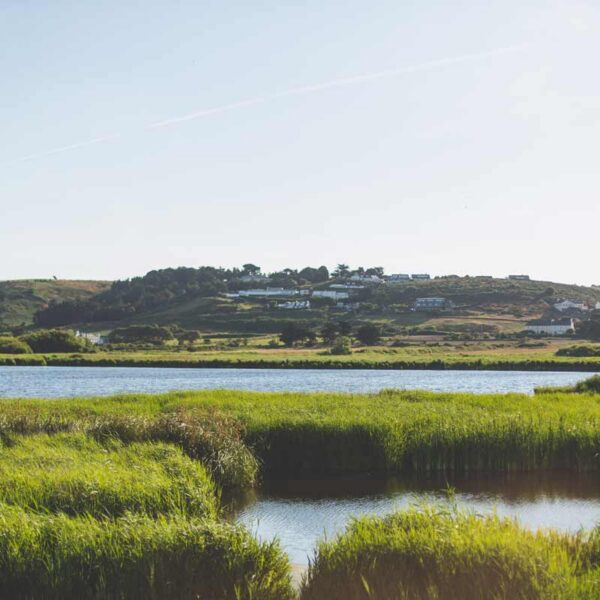 wetland-centre-jersey