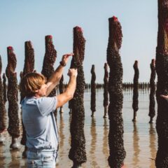 local-produce-jersey-oyster-company