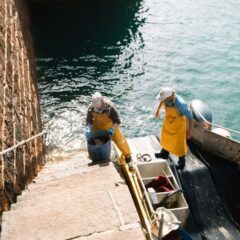 local-produce-jersey-seafood