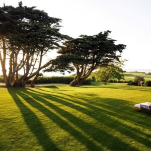 eco-active-leader-status-jersey