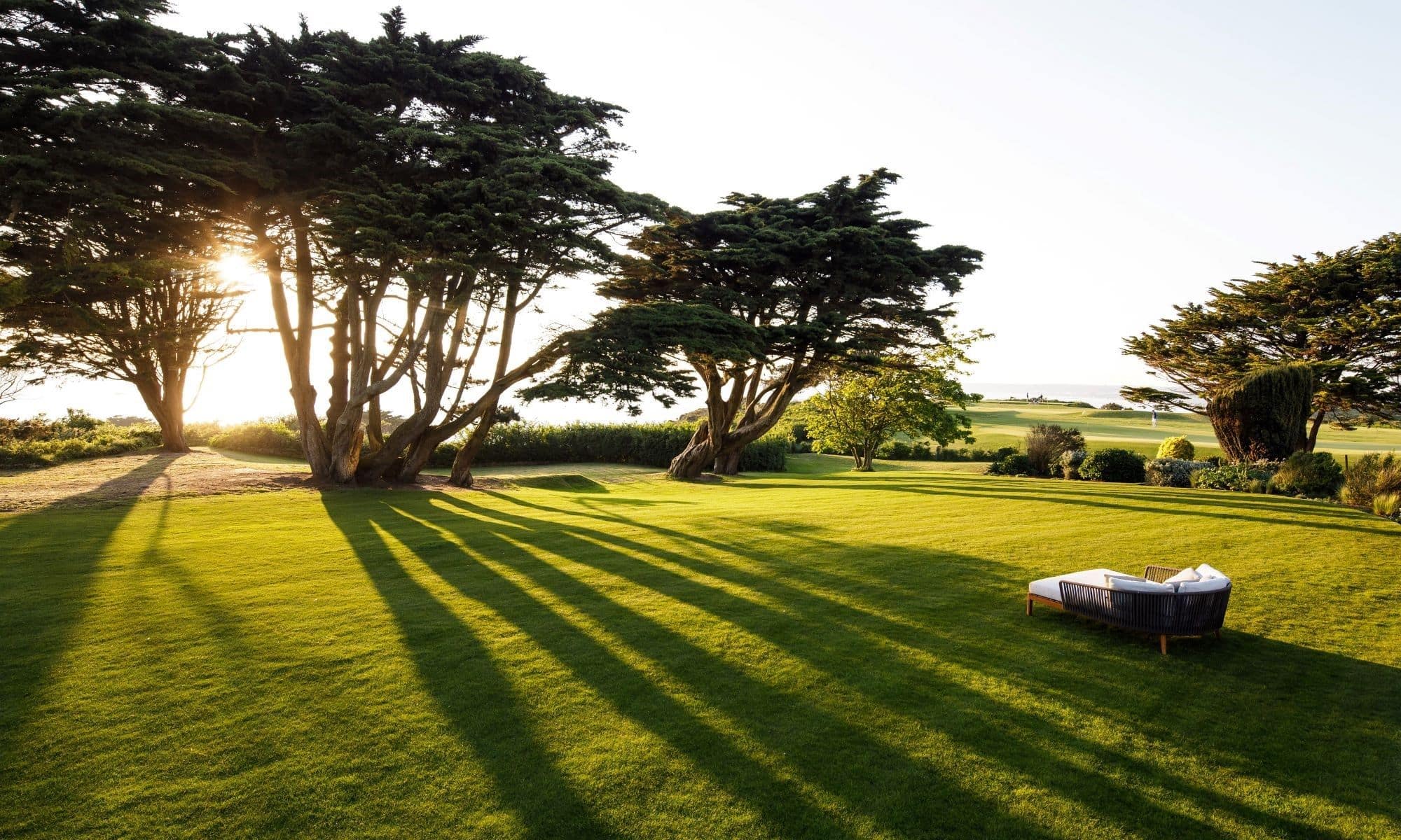 eco-active-leader-status-jersey